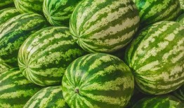 吃瓜--大赛每日芋圆呀呀吃瓜 吃瓜视频在线,趣味视频盛宴，尽享欢乐时光